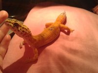 20130629_003351.jpg