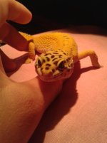 20130629_003529.jpg