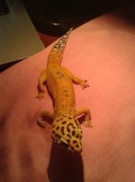 20130629_003602.jpg