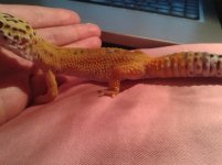 20130629_003622.jpg