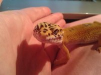 20130629_003634.jpg