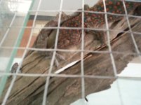20130701_092452.jpg