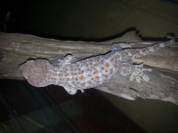 20130623_220343.jpg
