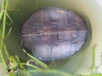 20130702_122441.jpg