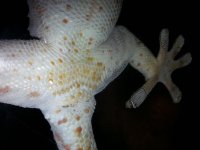 20130703_045929.jpg