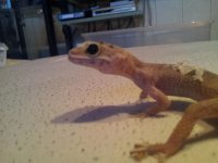 20130709_220425.jpg
