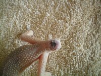 100_0697.jpg
