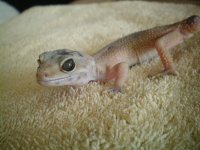 100_0701.jpg