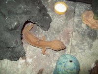 Mystery (85).jpg Mystery (85).jpg