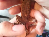 20130722_194151.jpg
