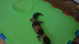 IMG_00000427.jpg