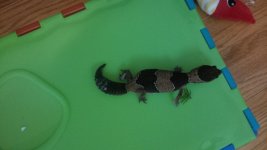 IMG_00000428.jpg