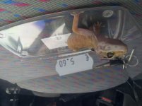 20130724_0907461286996230.jpg