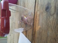 20130724_092018-1932445627.jpg
