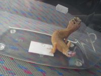 20130724_090741967751261.jpg