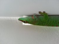 20130726_165814.jpg