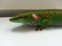 20130726_165732.jpg