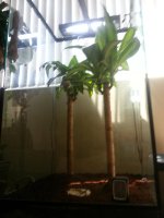 20130804_142307.jpg