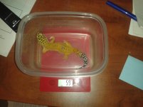 20130813_210933.jpg
