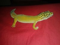 20130813_210948.jpg