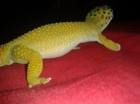 20130813_210957.jpg