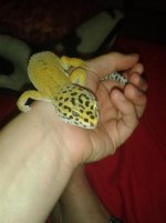 20130813_211030.jpg