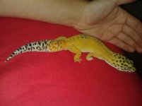 20130813_211105.jpg