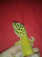 20130813_211126.jpg
