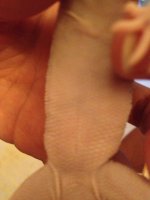 2013-08-14 19.52.19.jpg