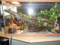 new tank.jpg