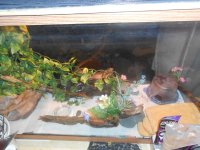 new tank1.jpg new tank1.jpg