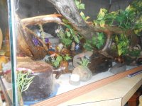 DSCN0612.jpg DSCN0612.jpg