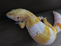 IMG_1898.jpg