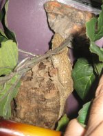IMG_7044.jpg