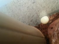 20130907_134327.jpg