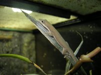 DSCN3685.jpg