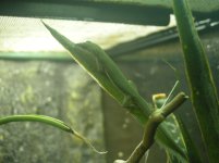 DSCN3680.jpg