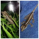 velpicstitch20130917_190828.jpg