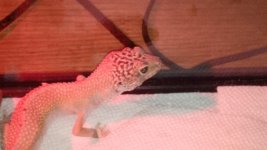 IMG_00000739.jpg