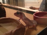 IMG_2553_2.jpg IMG_2553_2.jpg