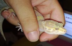 WP_20131007_033.jpg