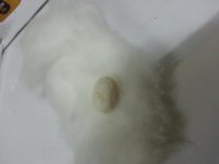 20131009_225445.jpg