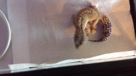 20131014_175421.jpg