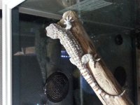 20130804_021953.jpg