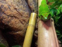 20130802_174225.jpg