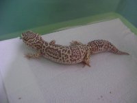 DSC02110.jpg