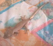 20131116_114225.jpg 20131116_114225.jpg