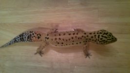 100_0304.jpg 100_0304.jpg