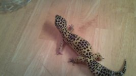 100_0300.jpg 100_0300.jpg