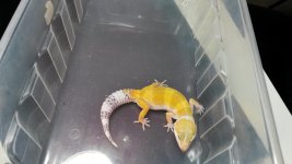20131204_120404.jpg